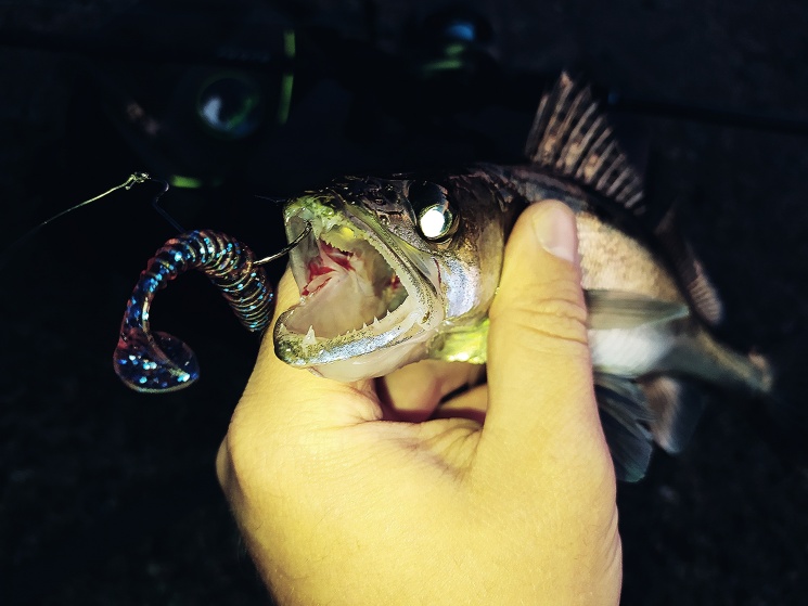 01.07.2022. Чкаловская дамба.