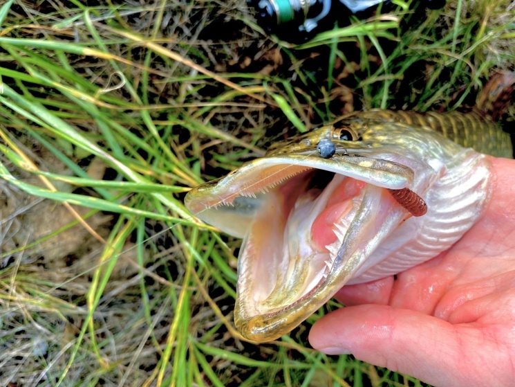 17.09.2022 Одна из речек Чкаловского района.