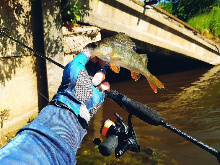 02.07.2022. Р. Шохна. Ивановская обл. 