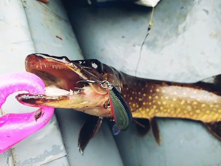 14.07.2022. Карьеры в Балахнинском районе