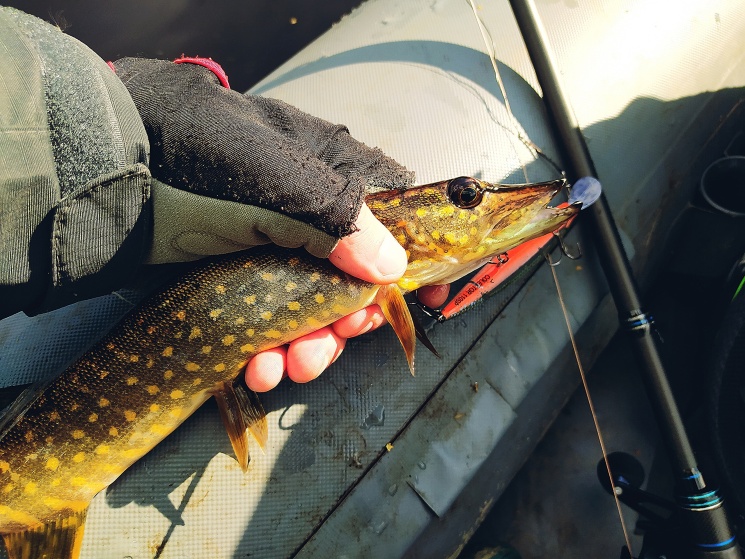 04.09.2022. Карьеры в Балахнинском районе.