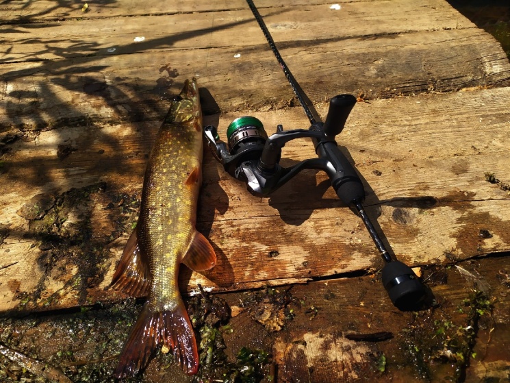 09.07.2022 Одно из озер Городецкого района.