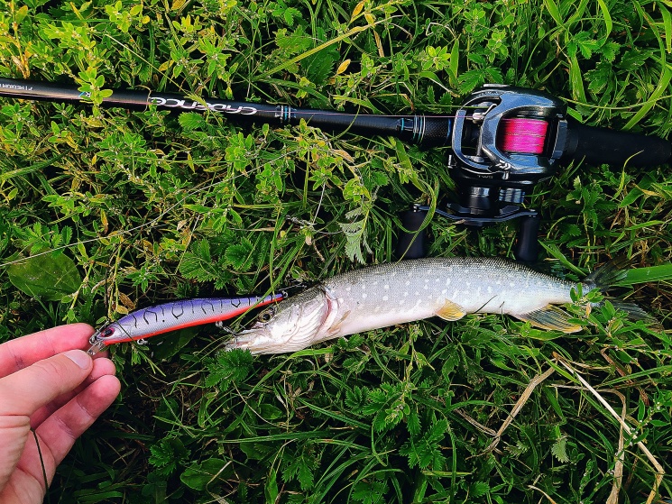 13.08.2022. Озеро в Балахнинском районе.