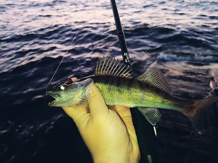 27.06.2022. Чкаловская дамба.