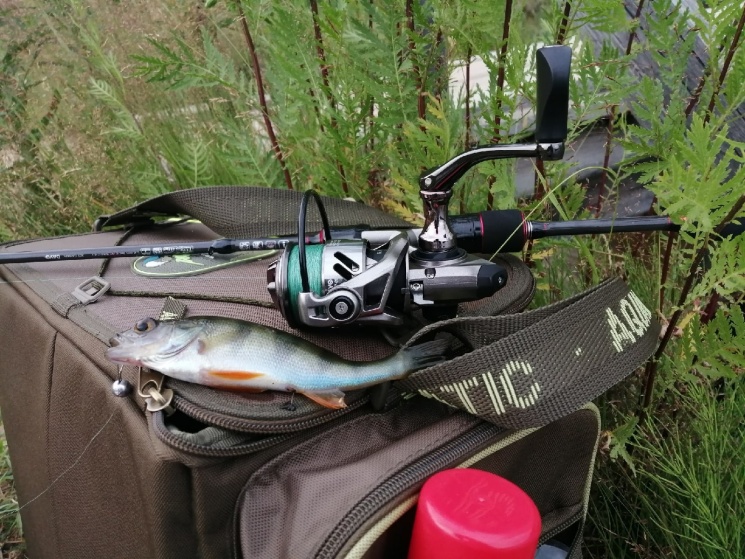 12.07.2022. Сокольский район. Ширмакша