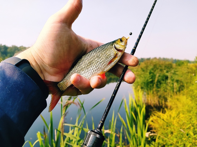 26.08.2022. Одно из озер Городецкого района. Мормышинг