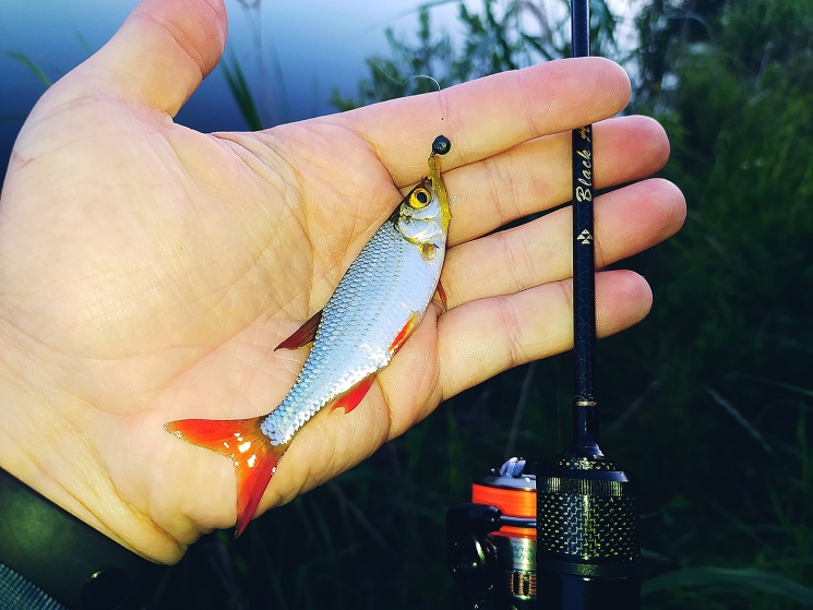 29.06.2022. Мормышинг. Городецкий район