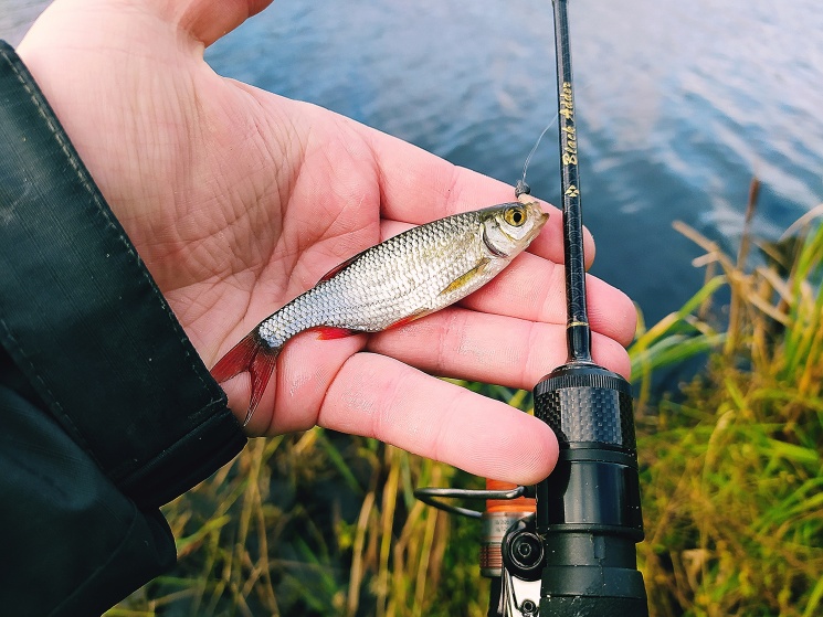 04.10.2022. Одно из озер Городецкого района. Мормышинг