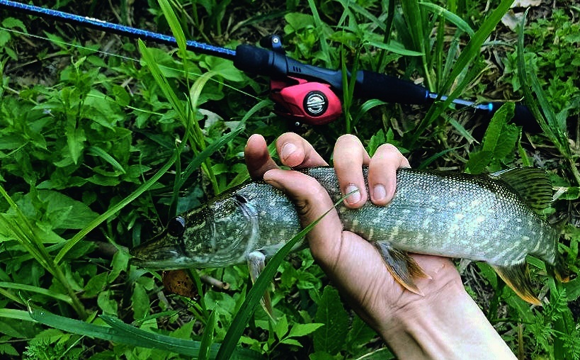 28.06.2022. Озеро Михалева