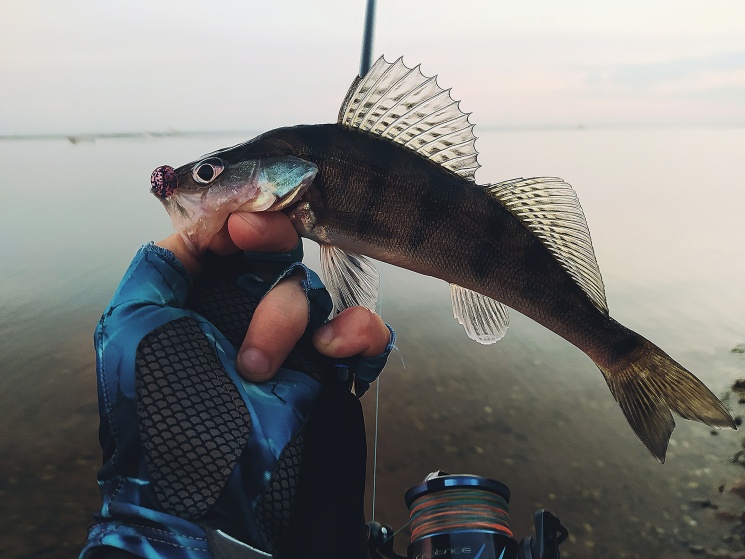 09.07.2022. Горьковское водохранилище. Городецкий район.